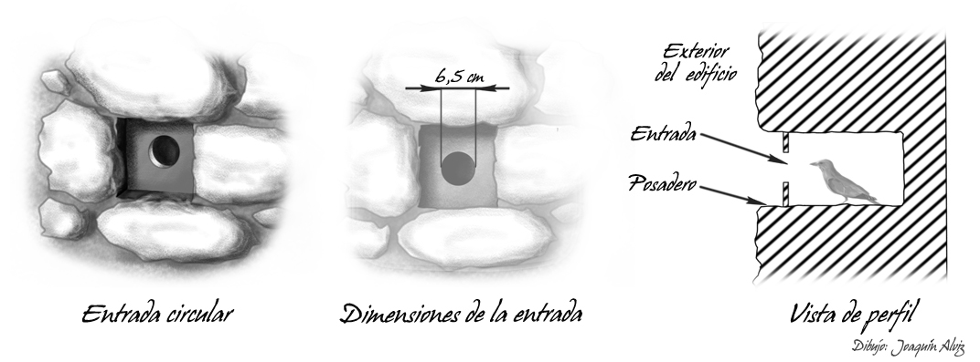 Adecuación mechinal circular Adecuación mechinal circular