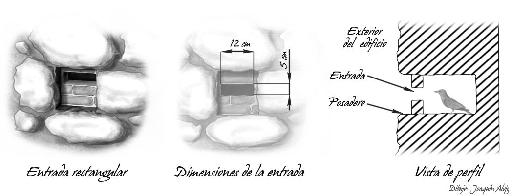 Adecuación mechinal rectangular Adecuación mechinal rectangular