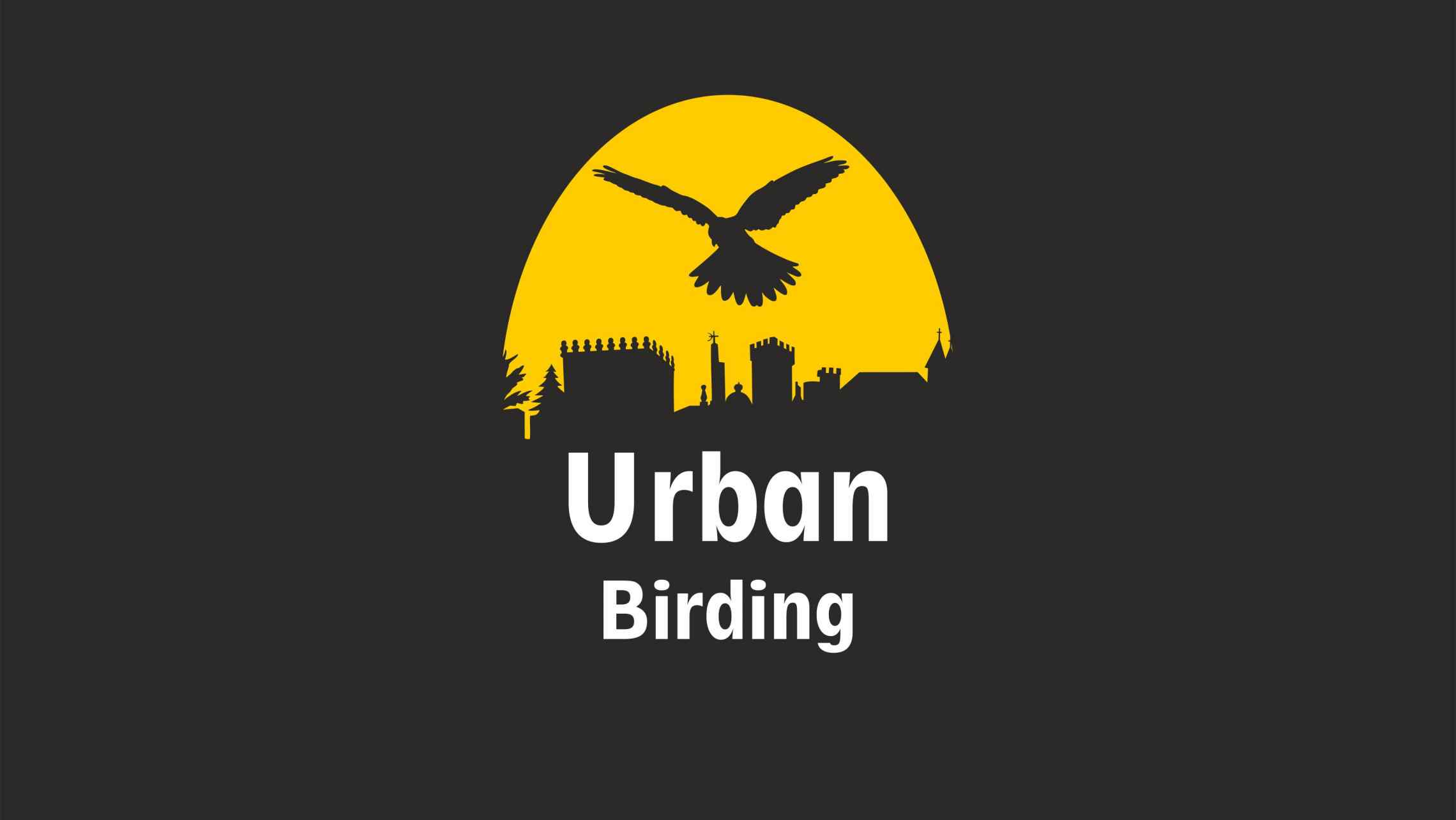 urban-birding-turismo urban-birding-turismo
