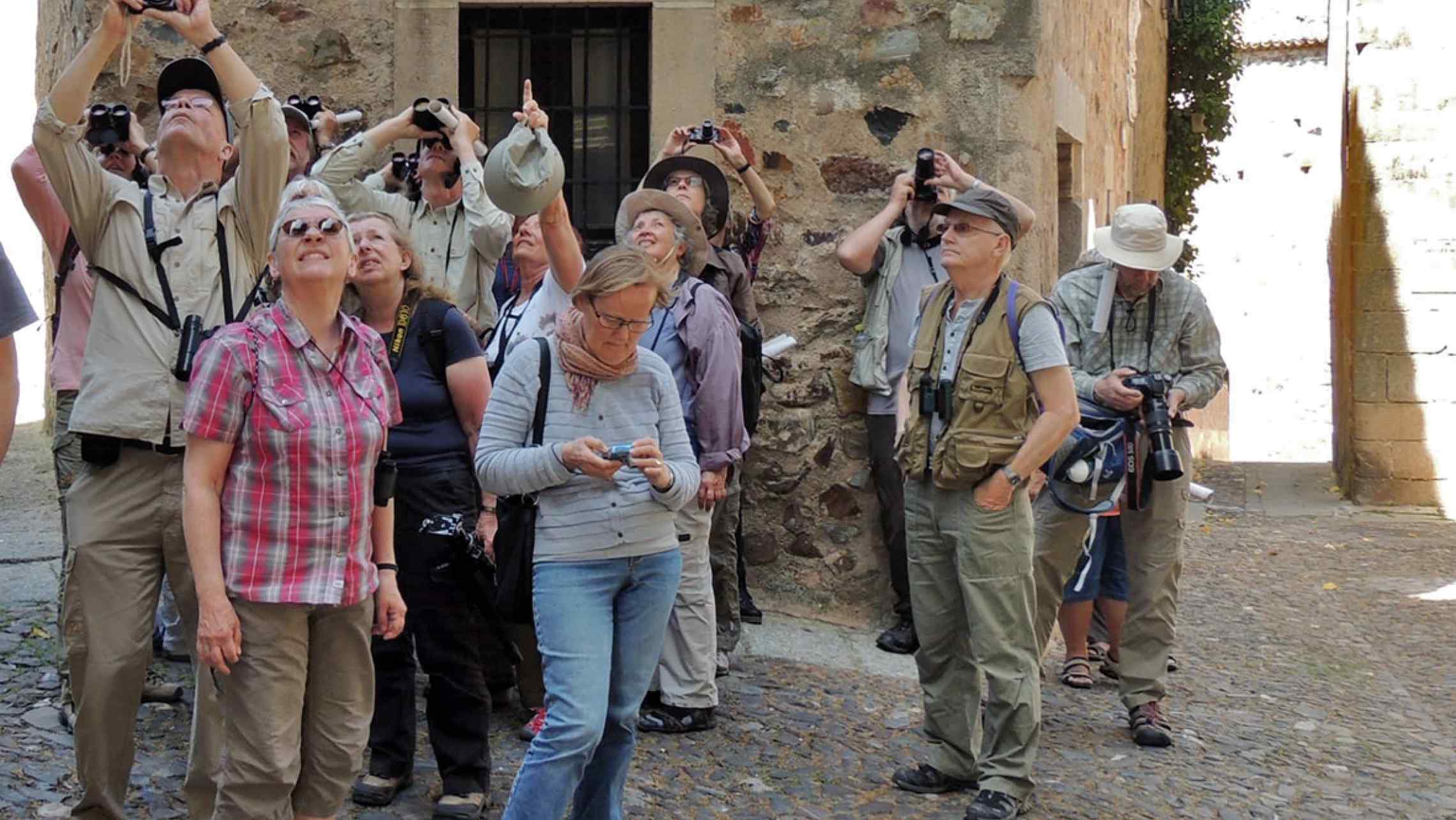 urban-birding-turismo urban-birding-turismo