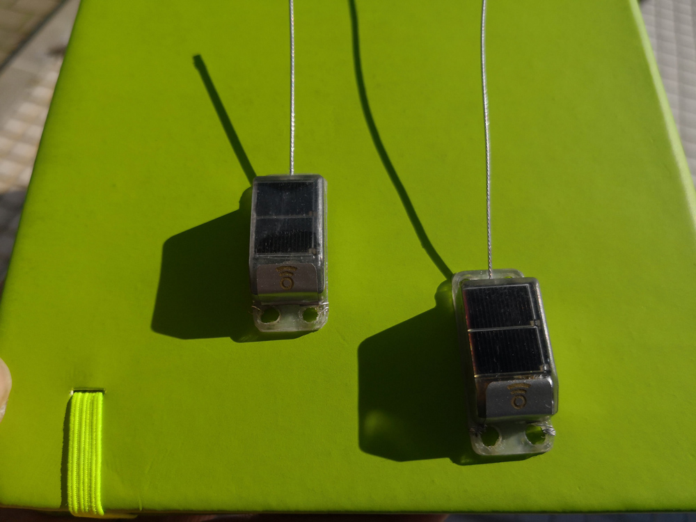 Pruebas de campo y validación de los nuevos emisores GPS para el cernícalo primilla Pruebas de campo y validación de los nuevos emisores GPS para el cernícalo primilla